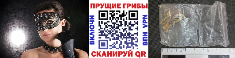 Галлюциногенные грибы Cubensis Слободской